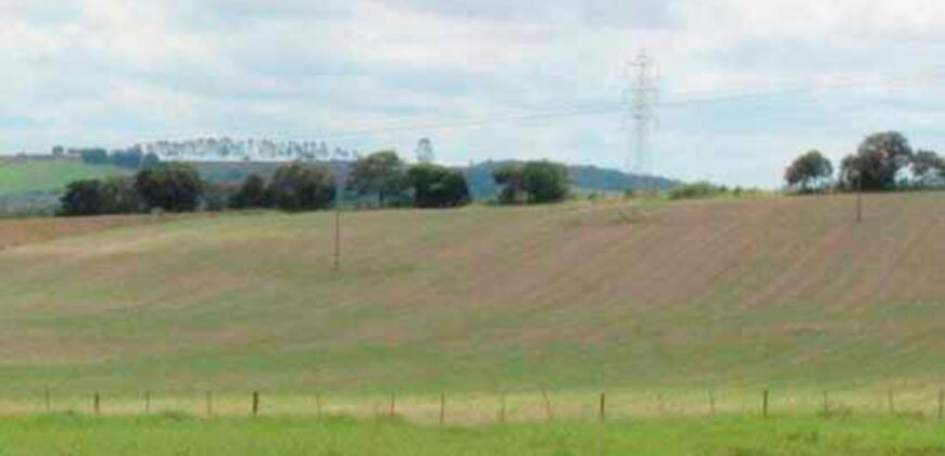 Excelente Fazenda Dupla Aptidão 576,5 Alqueires | Capão Bonito-SP