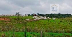 Excelente Fazenda Dupla Aptidão 576,5 Alqueires | Capão Bonito-SP