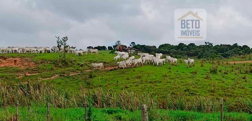 Excelente Fazenda Dupla Aptidão 576,5 Alqueires | Capão Bonito-SP