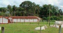 Excelente Fazenda Dupla Aptidão 576,5 Alqueires | Capão Bonito-SP