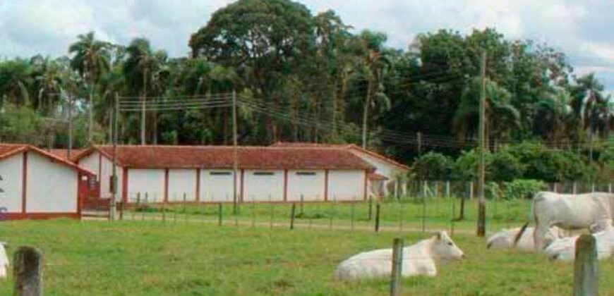 Excelente Fazenda Dupla Aptidão 576,5 Alqueires | Capão Bonito-SP