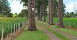 Excelente Fazenda Dupla Aptidão 576,5 Alqueires | Capão Bonito-SP