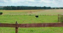 Excelente Fazenda Dupla Aptidão 576,5 Alqueires | Capão Bonito-SP