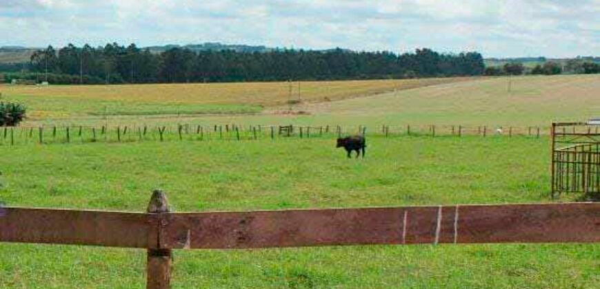 Excelente Fazenda Dupla Aptidão 576,5 Alqueires | Capão Bonito-SP