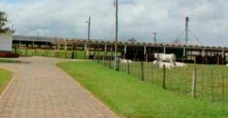 Excelente Fazenda Dupla Aptidão 576,5 Alqueires | Capão Bonito-SP