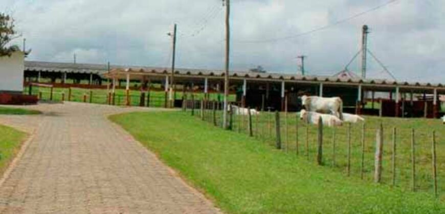 Excelente Fazenda Dupla Aptidão 576,5 Alqueires | Capão Bonito-SP