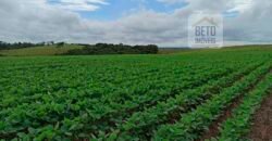 Excelente Fazenda Dupla Aptidão 576,5 Alqueires | Capão Bonito-SP