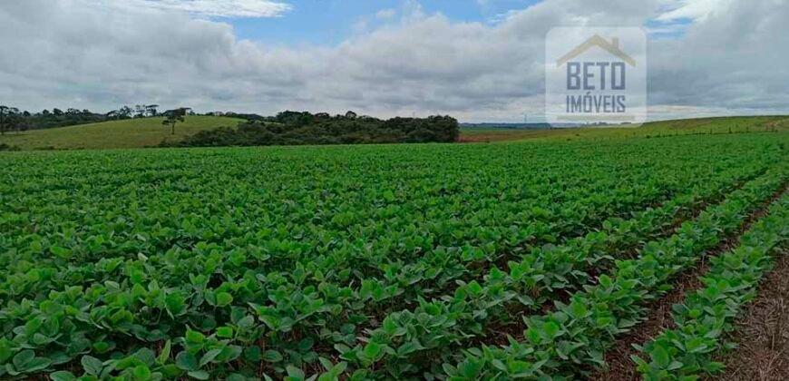 Excelente Fazenda Dupla Aptidão 576,5 Alqueires | Capão Bonito-SP