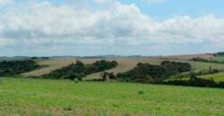 Excelente Fazenda Dupla Aptidão 576,5 Alqueires | Capão Bonito-SP