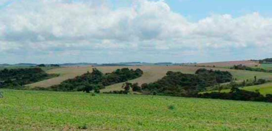 Excelente Fazenda Dupla Aptidão 576,5 Alqueires | Capão Bonito-SP