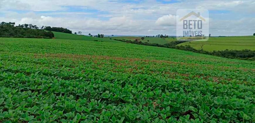 Excelente Fazenda Dupla Aptidão 576,5 Alqueires | Capão Bonito-SP