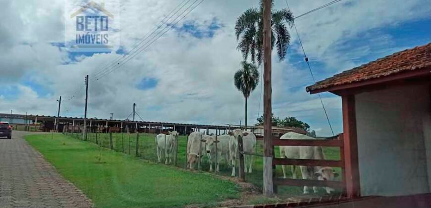 Excelente Fazenda Dupla Aptidão 576,5 Alqueires | Capão Bonito-SP