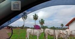 Excelente Fazenda Dupla Aptidão 576,5 Alqueires | Capão Bonito-SP