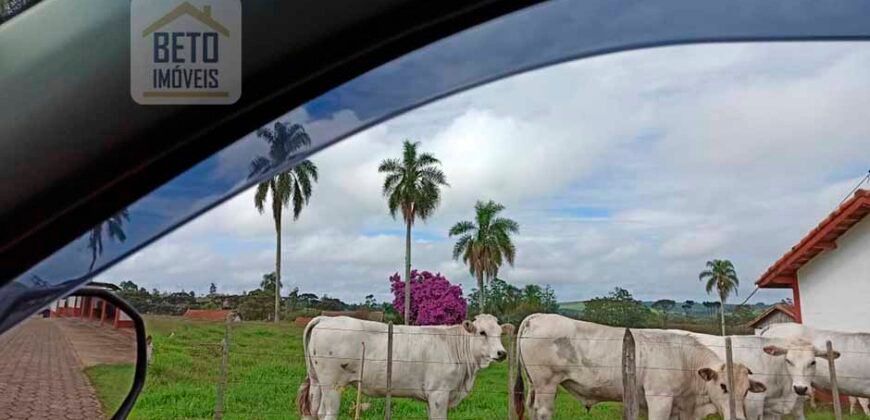 Excelente Fazenda Dupla Aptidão 576,5 Alqueires | Capão Bonito-SP