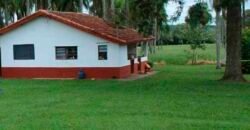 Excelente Fazenda Dupla Aptidão 576,5 Alqueires | Capão Bonito-SP