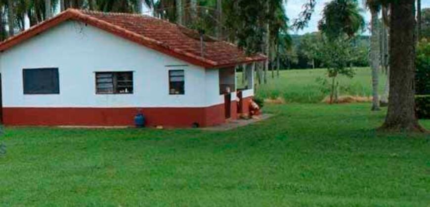 Excelente Fazenda Dupla Aptidão 576,5 Alqueires | Capão Bonito-SP