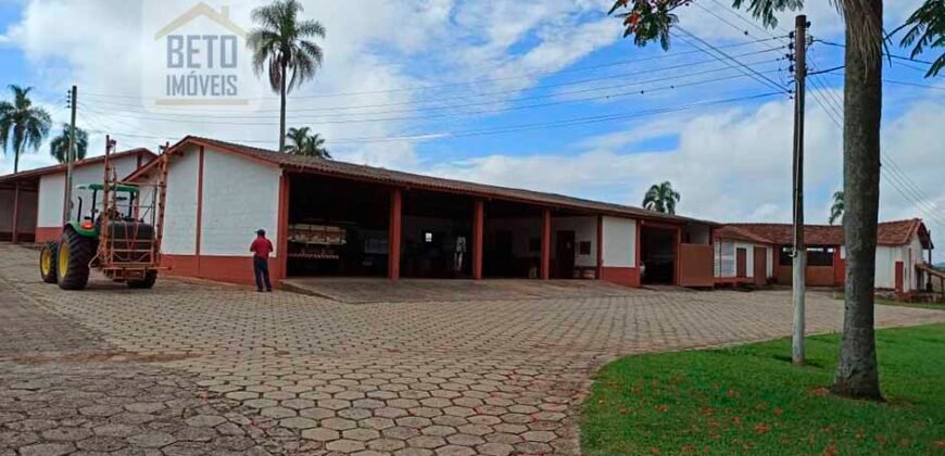 Excelente Fazenda Dupla Aptidão 576,5 Alqueires | Capão Bonito-SP