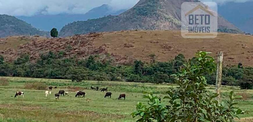 Fazenda p Pastagem c/ Toda Estrutura 37alqueires | Campos dos Goytacazes/ RJ Fazenda p Pastagem c/ Toda Estrutura 37alqueires | Campos dos Goytacazes/ RJ