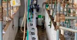 Fazenda p Pastagem c/ Toda Estrutura 37alqueires | Campos dos Goytacazes/ RJ Fazenda p Pastagem c/ Toda Estrutura 37alqueires | Campos dos Goytacazes/ RJ