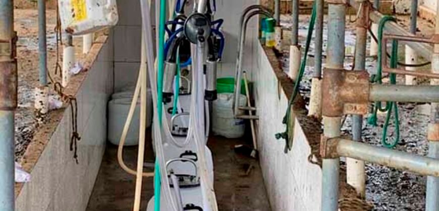 Fazenda p Pastagem c/ Toda Estrutura 37alqueires | Campos dos Goytacazes/ RJ Fazenda p Pastagem c/ Toda Estrutura 37alqueires | Campos dos Goytacazes/ RJ