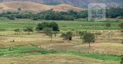 Fazenda p Pastagem c/ Toda Estrutura 37alqueires | Campos dos Goytacazes/ RJ Fazenda p Pastagem c/ Toda Estrutura 37alqueires | Campos dos Goytacazes/ RJ