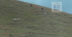 Fazenda p Pastagem c/ Toda Estrutura 37alqueires | Campos dos Goytacazes/ RJ Fazenda p Pastagem c/ Toda Estrutura 37alqueires | Campos dos Goytacazes/ RJ