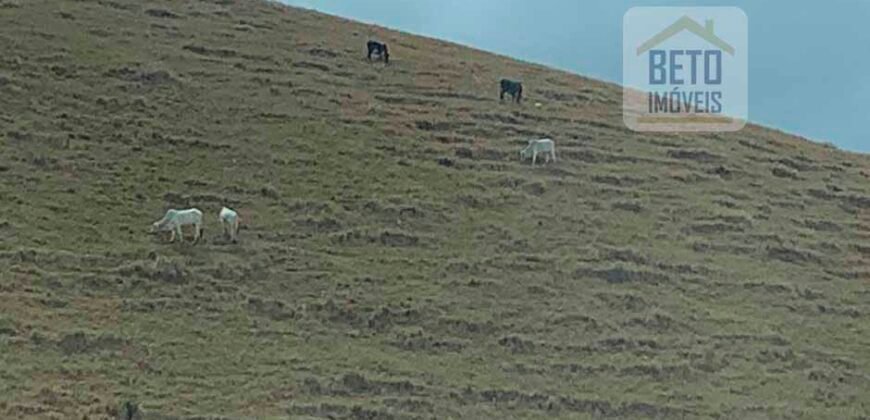 Fazenda p Pastagem c/ Toda Estrutura 37alqueires | Campos dos Goytacazes/ RJ Fazenda p Pastagem c/ Toda Estrutura 37alqueires | Campos dos Goytacazes/ RJ