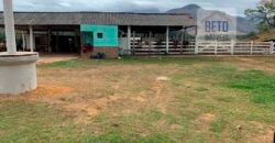 Fazenda p Pastagem c/ Toda Estrutura 37alqueires | Campos dos Goytacazes/ RJ Fazenda p Pastagem c/ Toda Estrutura 37alqueires | Campos dos Goytacazes/ RJ