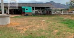 Fazenda p Pastagem c/ Toda Estrutura 37alqueires | Campos dos Goytacazes/ RJ Fazenda p Pastagem c/ Toda Estrutura 37alqueires | Campos dos Goytacazes/ RJ