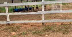 Fazenda p Pastagem c/ Toda Estrutura 37alqueires | Campos dos Goytacazes/ RJ Fazenda p Pastagem c/ Toda Estrutura 37alqueires | Campos dos Goytacazes/ RJ