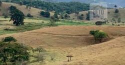 Fazenda p Pastagem c/ Toda Estrutura 37alqueires | Campos dos Goytacazes/ RJ Fazenda p Pastagem c/ Toda Estrutura 37alqueires | Campos dos Goytacazes/ RJ