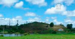 Fazenda Vocacionada p Pecuária 149 mil hectares | Rondolândia/ MT