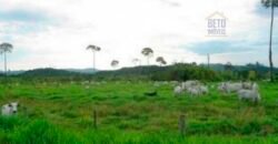 Fazenda Vocacionada p Pecuária 149 mil hectares | Rondolândia/ MT