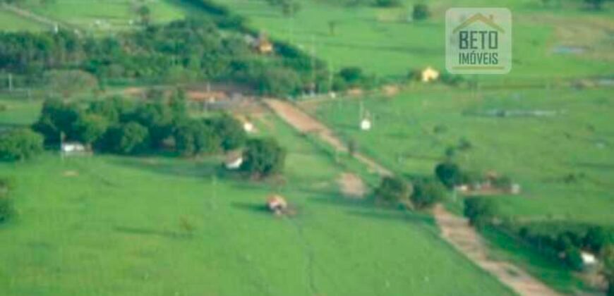 Fazenda Vocacionada p Pecuária 149 mil hectares | Rondolândia/ MT