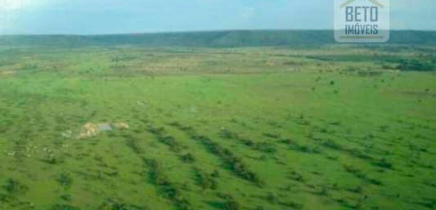 Fazenda Vocacionada p Pecuária 149 mil hectares | Rondolândia/ MT
