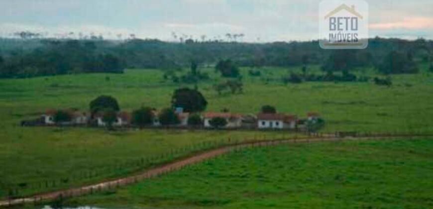 Fazenda Vocacionada p Pecuária 149 mil hectares | Rondolândia/ MT