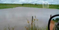 Fazenda Vocacionada p Pecuária 149 mil hectares | Rondolândia/ MT