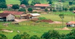 Fazenda Vocacionada p Pecuária 149 mil hectares | Rondolândia/ MT