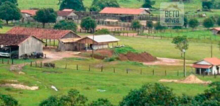 Fazenda Vocacionada p Pecuária 149 mil hectares | Rondolândia/ MT