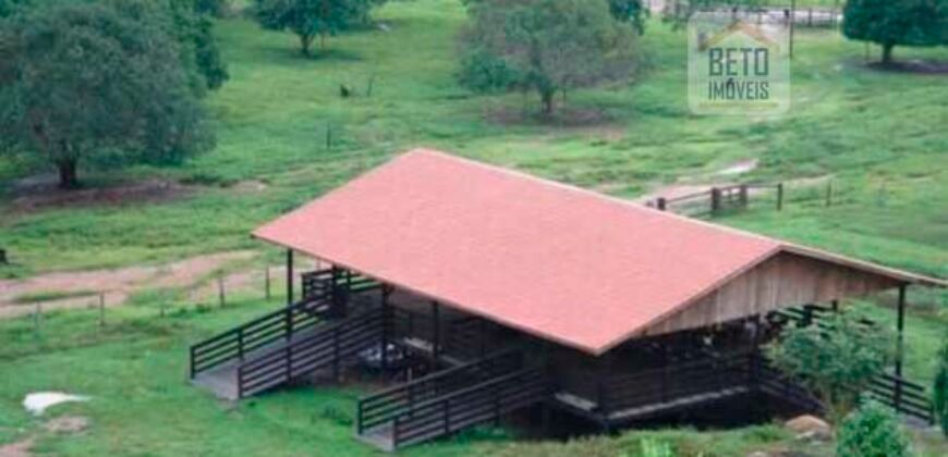 Fazenda Vocacionada p Pecuária 149 mil hectares | Rondolândia/ MT
