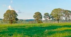 Fazenda Excelente Mansão e Dupla Aptidão Pasto e Plantio | Juquiá e Registro/ SP