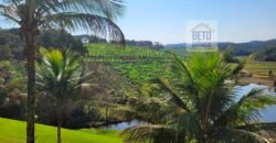 Fazenda Excelente Mansão e Dupla Aptidão Pasto e Plantio | Juquiá e Registro/ SP