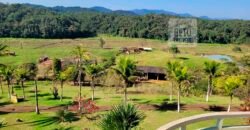 Fazenda Excelente Mansão e Dupla Aptidão Pasto e Plantio | Juquiá e Registro/ SP