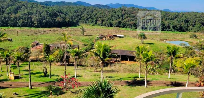 Fazenda Excelente Mansão e Dupla Aptidão Pasto e Plantio | Juquiá e Registro/ SP
