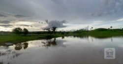 Fazenda para Lavoura 1350 alqueires | Área Rural de Marabá – PA