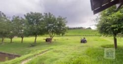 Fazenda para Lavoura 1350 alqueires | Área Rural de Marabá – PA