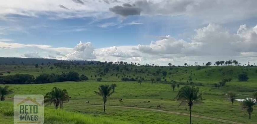 Fazenda para Lavoura 1350 alqueires | Área Rural de Marabá – PA