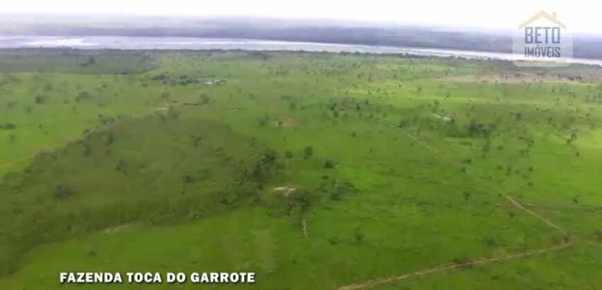 Fazenda para Lavoura 1350 alqueires | Área Rural de Marabá – PA