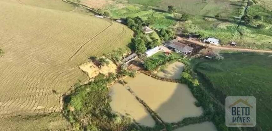 Fazenda p Pastagem c/ Toda Estrutura 37alqueires | Campos dos Goytacazes/ RJ Fazenda p Pastagem c/ Toda Estrutura 37alqueires | Campos dos Goytacazes/ RJ