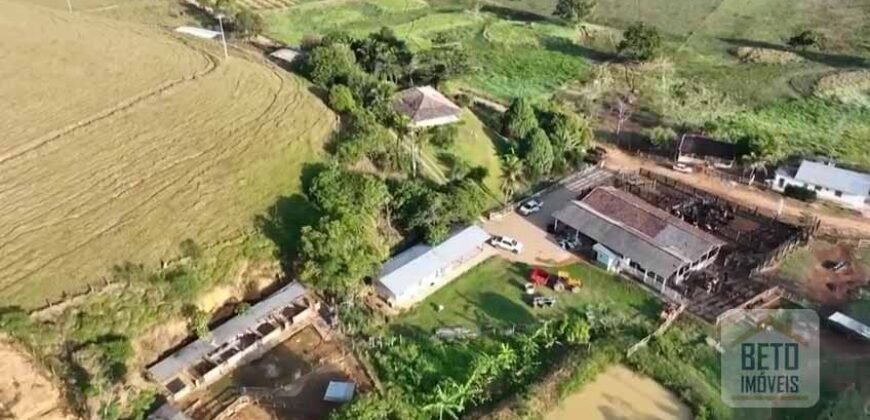 Fazenda p Pastagem c/ Toda Estrutura 37alqueires | Campos dos Goytacazes/ RJ Fazenda p Pastagem c/ Toda Estrutura 37alqueires | Campos dos Goytacazes/ RJ